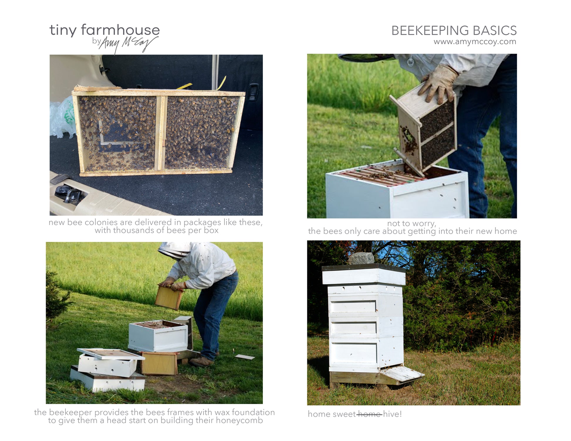Where Do Bees Live free coloring sheet - tiny farmhouse by Amy McCoy