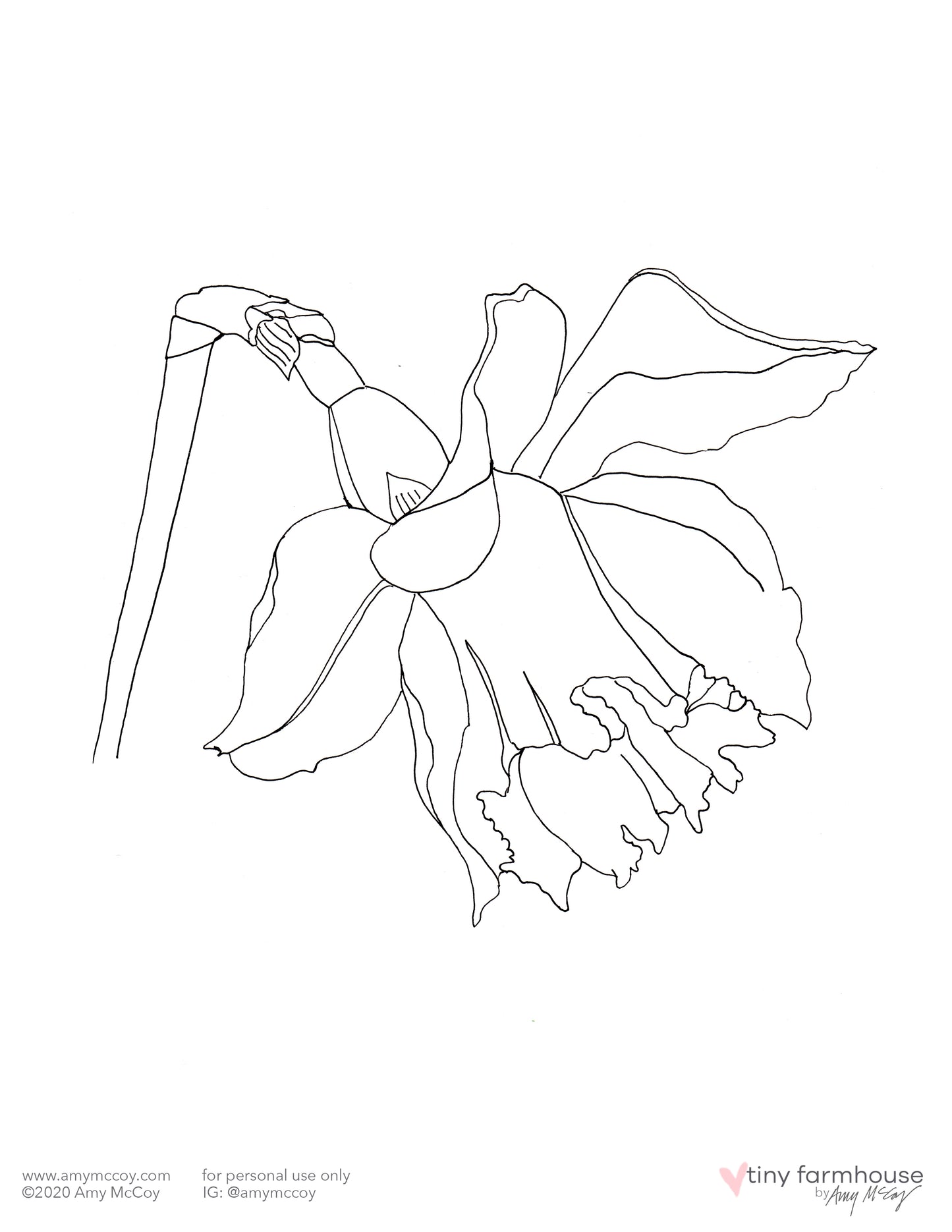 Daffodil free coloring sheet - tiny farmhouse by Amy McCoy