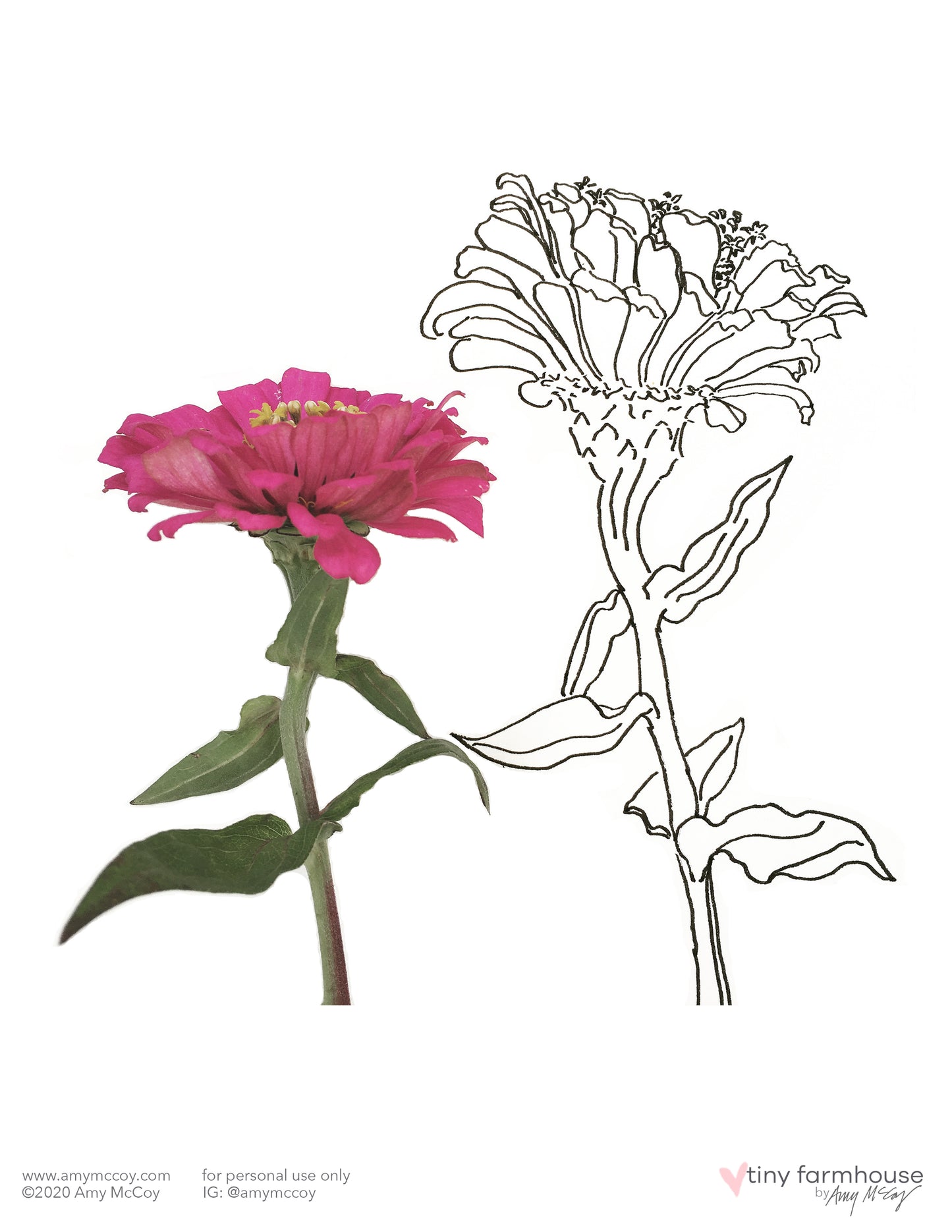 Zinnia free coloring sheet - tiny farmhouse by Amy McCoy