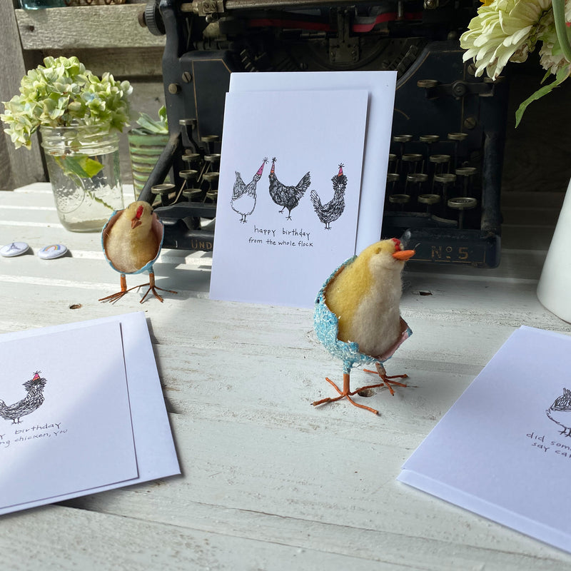 behind the scenes in The Shoot Coop at tiny farmhouse with some chicken birthday cards and stuffed prop chicks in blue shells
