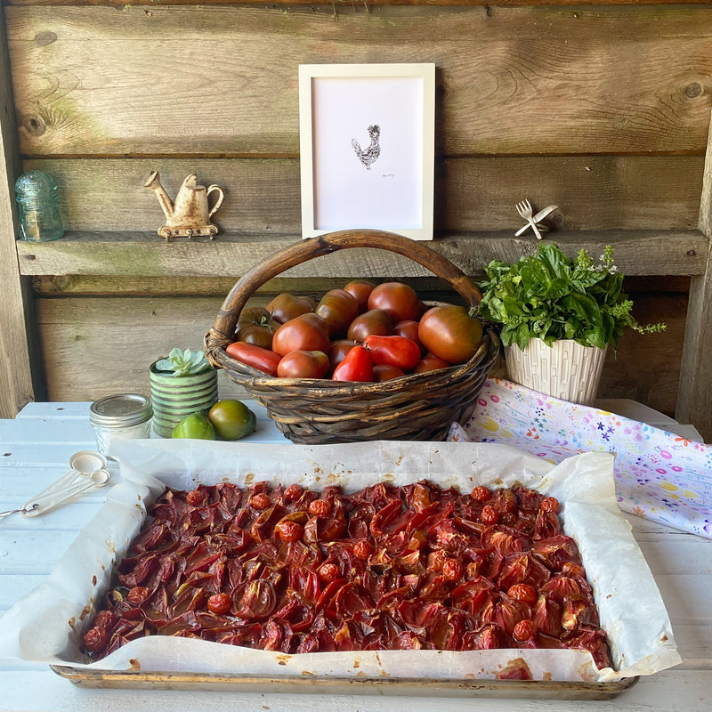 a basket full of garden tomatoes, a vase full of basil, and a large sheet pan with slow-roasted tomatoes on a rustic tabletop