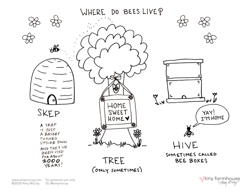 Where Do Bees Live free coloring sheet - tiny farmhouse by Amy McCoy