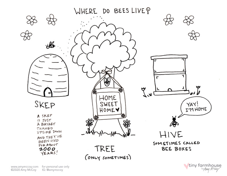 Where do Bees Live free coloring sheet - tiny farmhouse by Amy McCoy