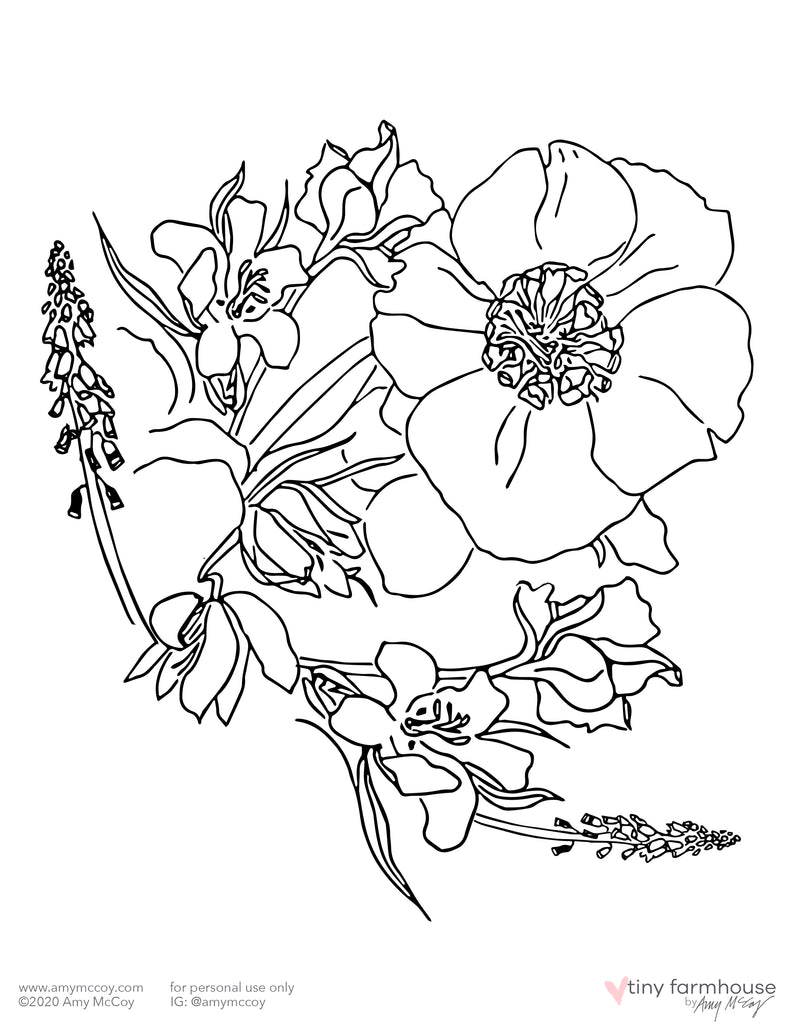 Muscari and Hellebore free coloring sheet - tiny farmhouse by Amy McCoy